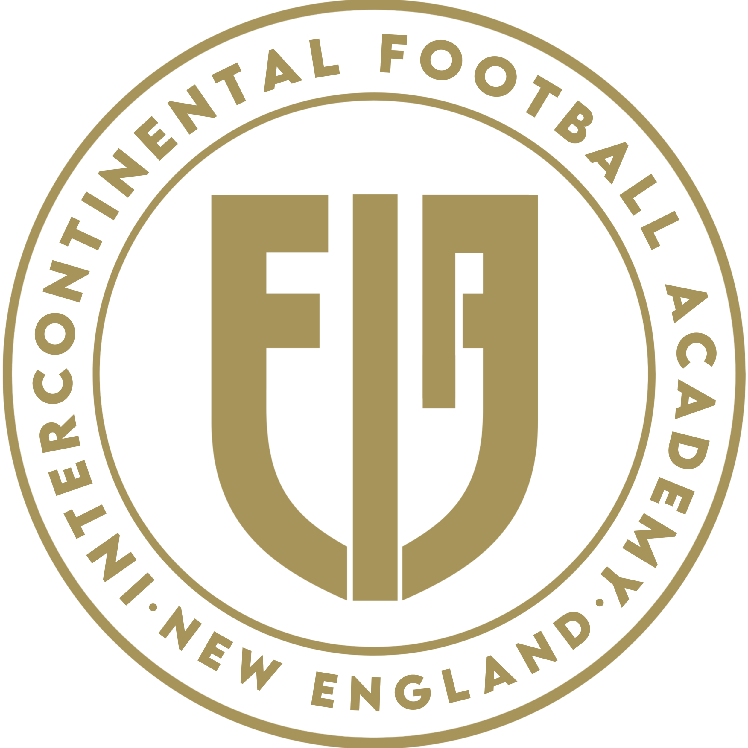 International Football Academy Logo